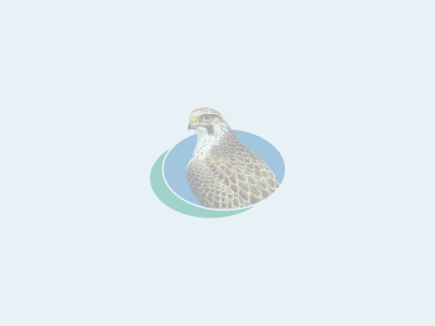 The Women Leading the UAE’s Wildlife Rescue Missions