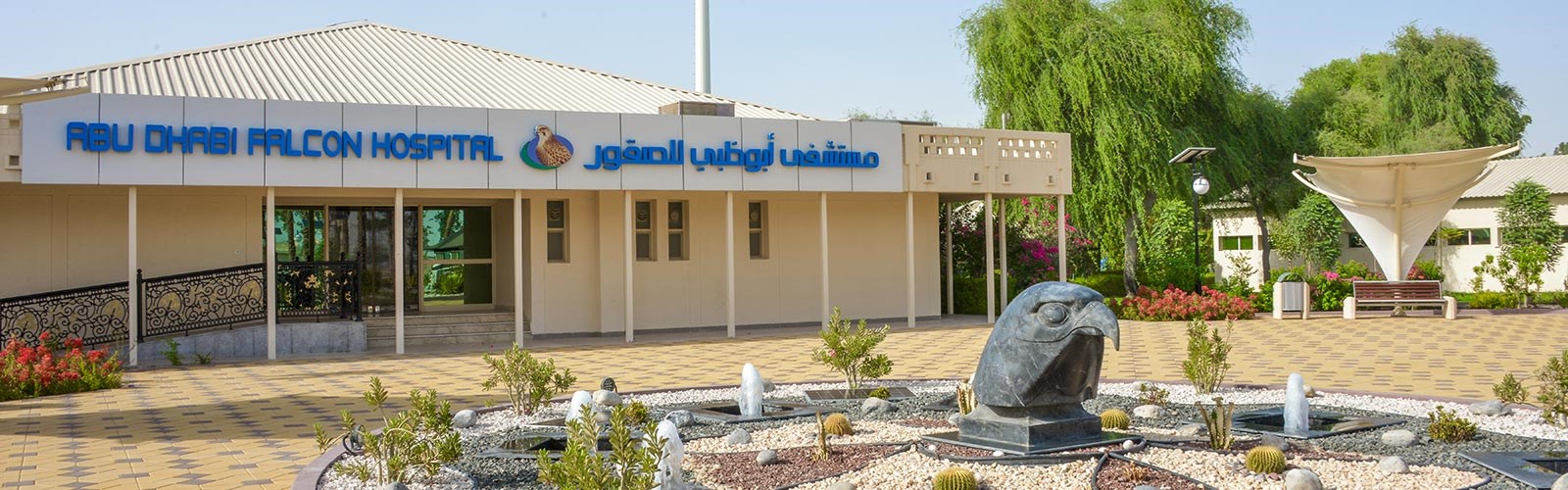 Meet Our Team Abu Dhabi Falcon Hospital