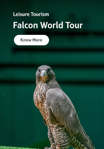 Leisure Tourism – Falcon World Tour