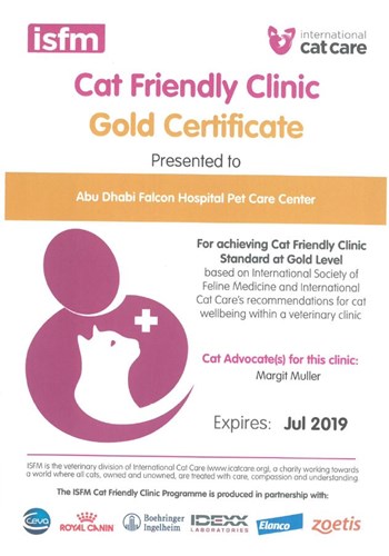 Cat Friendly clinic