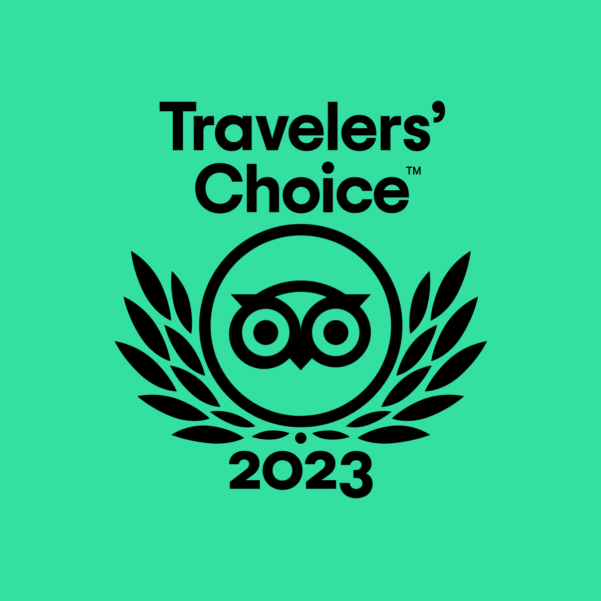 Tripadvisor Traveler's Choice Award 2023