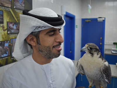 7 unforgettable experiences in Abu Dhabi