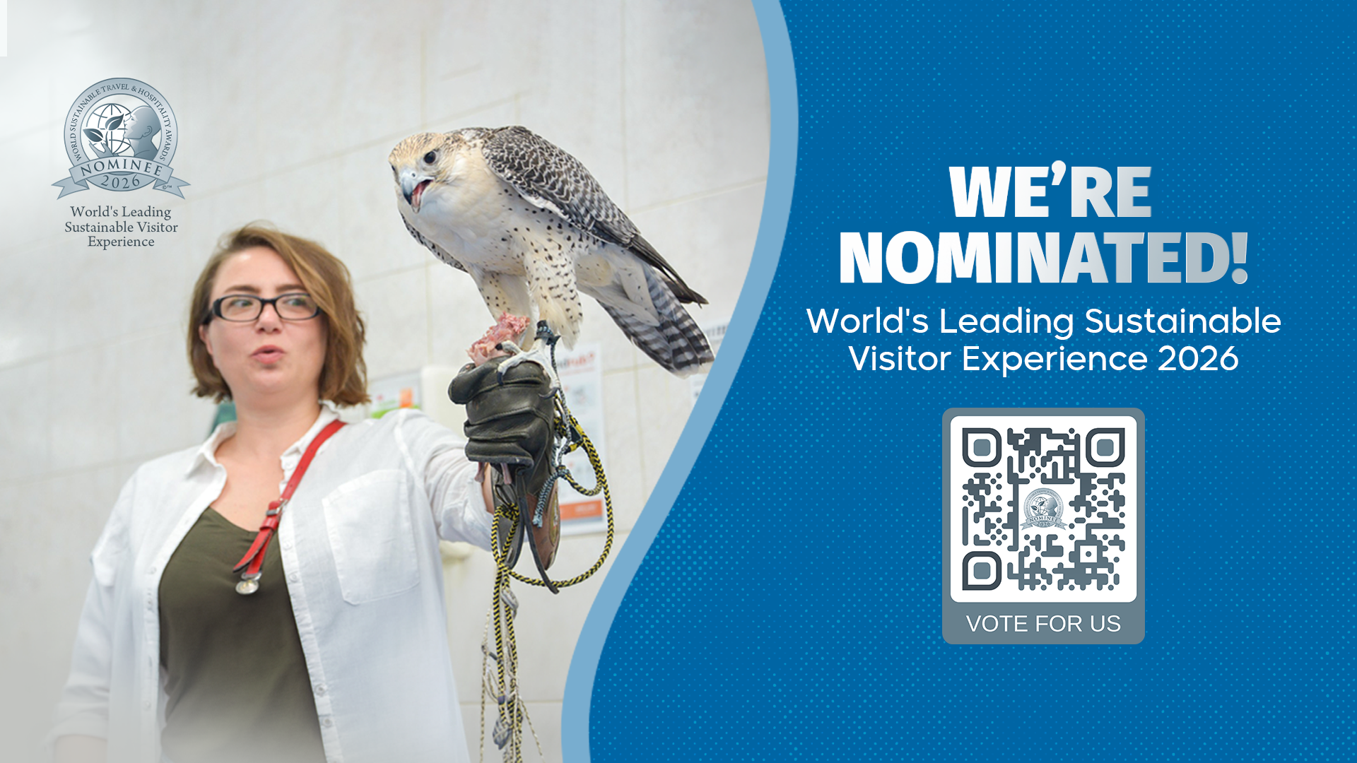 abu dhabi falcon hospital
