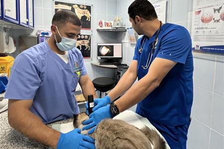 خدمات مركز رعاية الحيوانات الأليفة