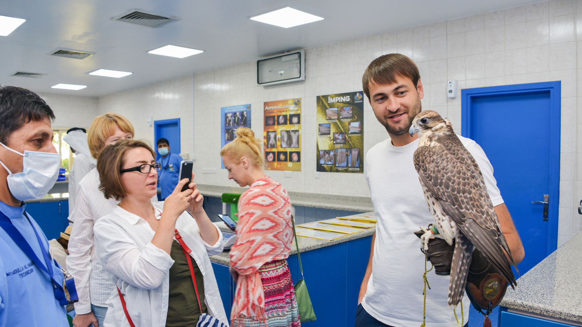 abu dhabi falcon hospital