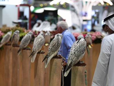 Abu Dhabi Falcon Hospital and Abu Dhabi Animal Shelter Participates at ADIHEX 2019