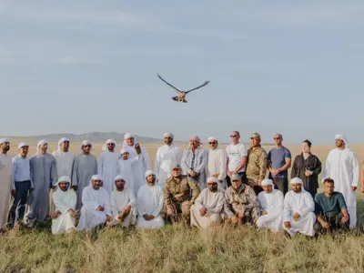 Sheikh Zayed Falcon Release Programme returned total of 2,355 falcons to wild