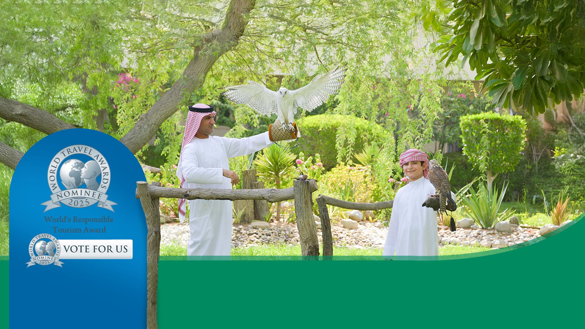 abu dhabi falcon hospital