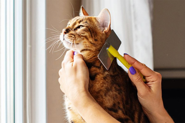 Grooming