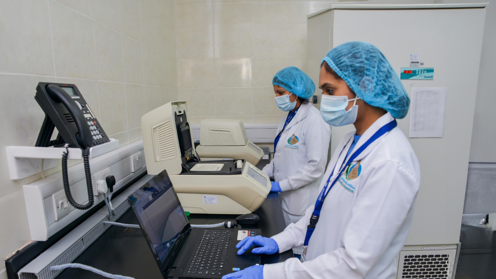 abu dhabi falcon hospital