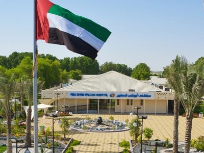 12 Fun and Unexpected Things to Do in the UAE That Aren’t in Guidebooks