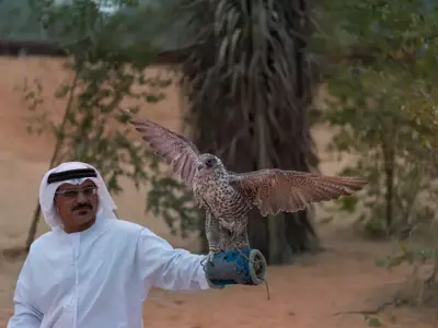 7 summer wildlife adventures in Abu Dhabi