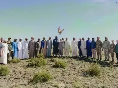 UAE Falcon Conservation Programme Confirms Siberia Breeding Success
